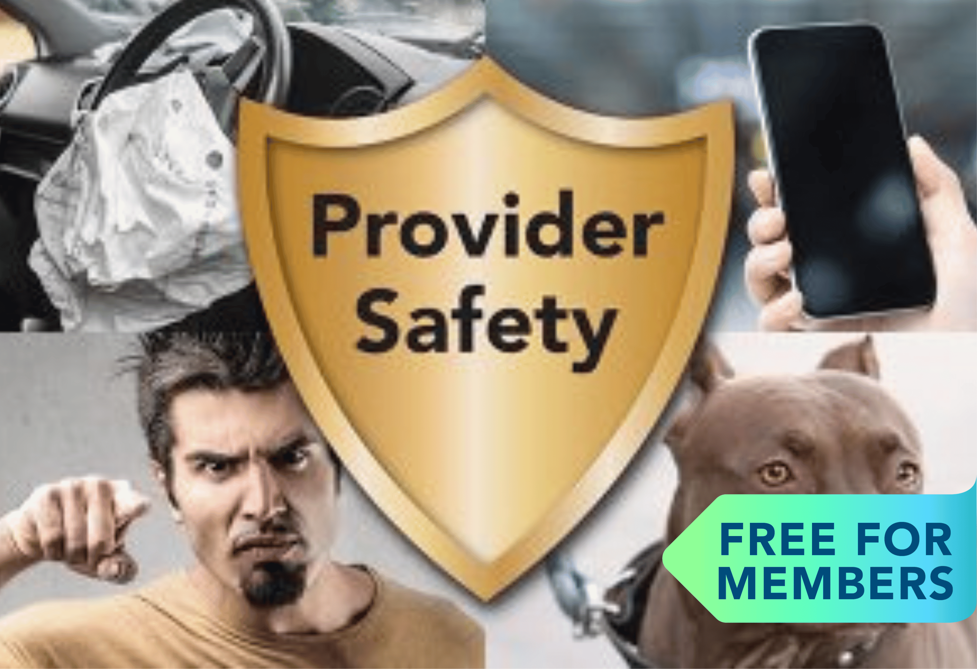Safety Strategies for Home-Based Primary Care Providers